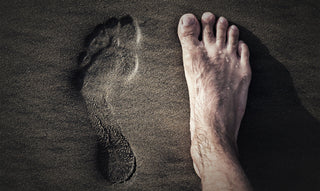 Warum unsere Füße schwitzen – und weshalb gutes Schuhwerk entscheidend ist